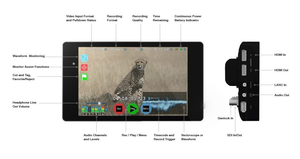 Atomos Shogun 7" HDR Monitor-Recorder-Switcher