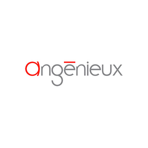 ANGENIEUX - Film & TV Equipment Hire