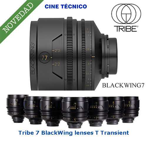 Tribe 7 BlackWing lenses T Transient and X Expressive tuning