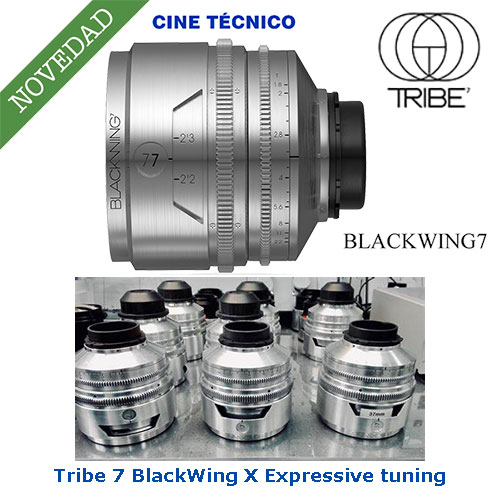 Tribe 7 BlackWing X Expressive tuning